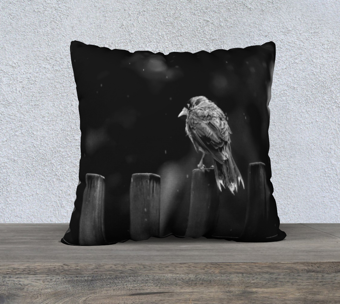 Wet Feathers & Moody Days - Square 22”x22” Pillow Case