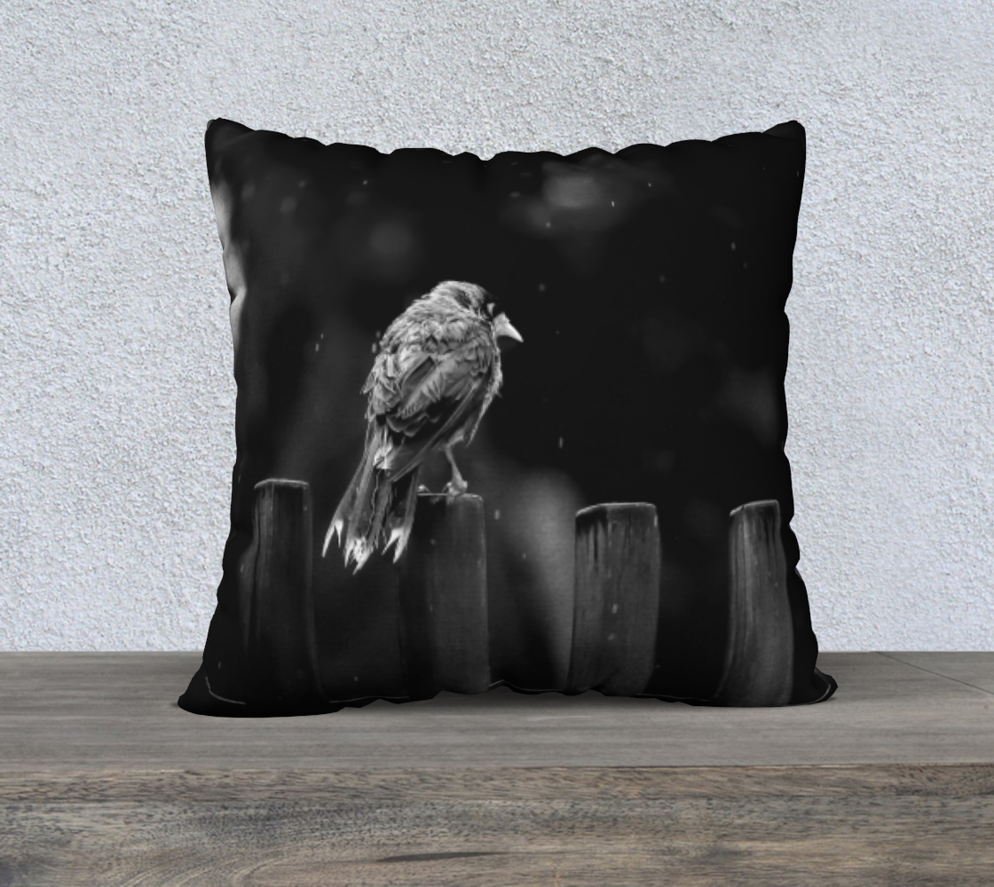 Wet Feathers & Moody Days - Square 22”x22” Pillow Case